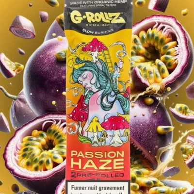 Blunt Grollz passion Haze