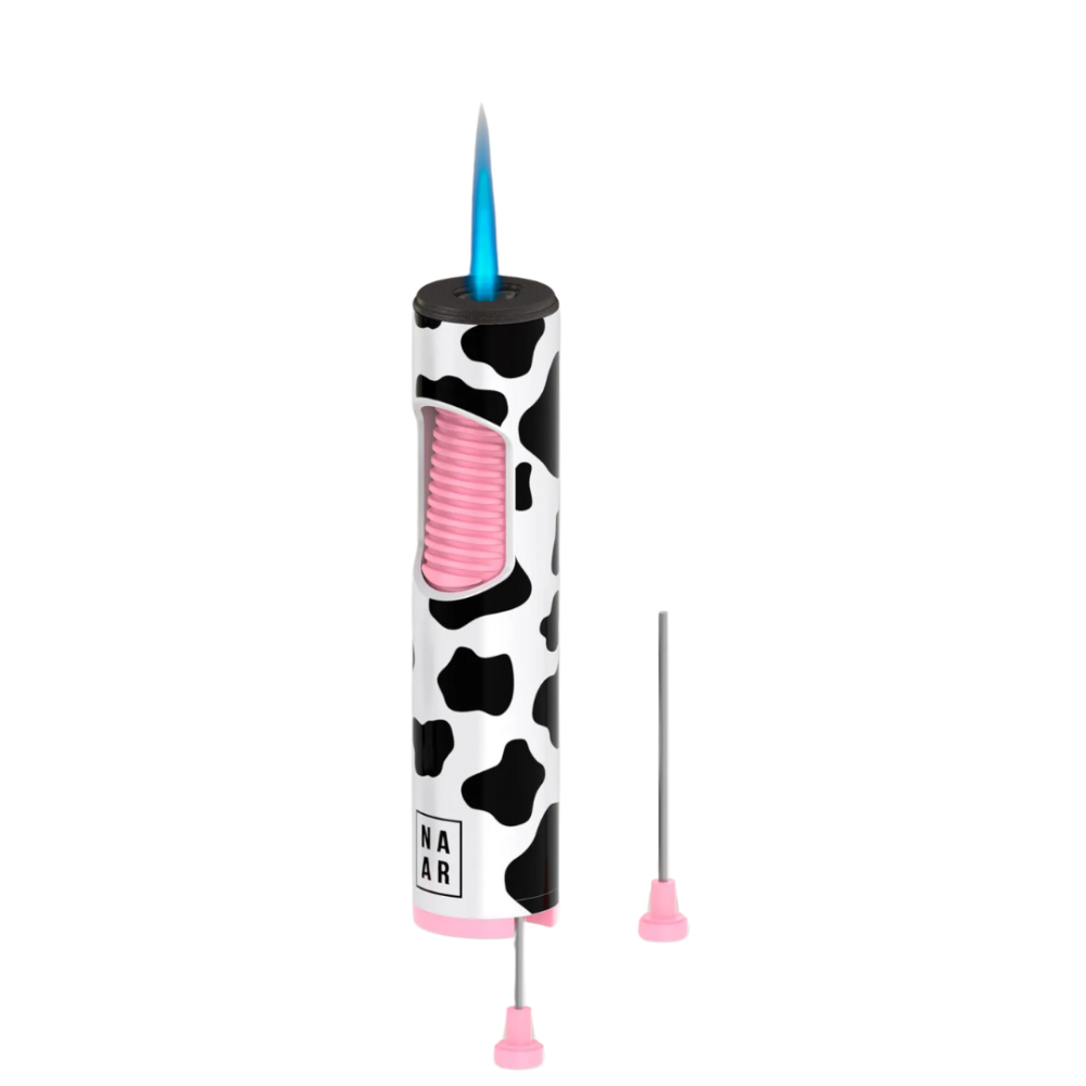 15340524571-design-sem-nome-16.png